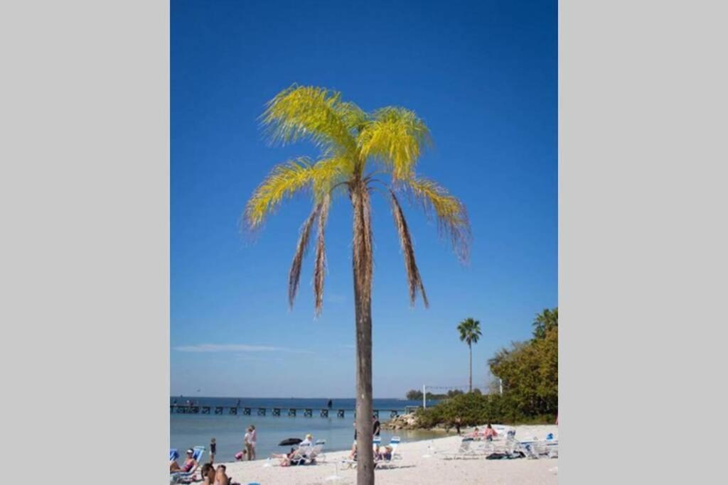 Little Harbor Resort #206 Tampa Bay Fl Beach, Bayview, 2 Pools Ръскин Екстериор снимка